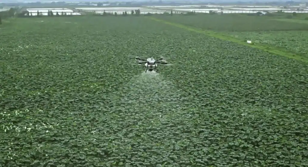 DJI Agras T100 dron rolniczy z udźwigiem 100 kg